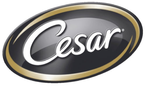 Cesar Logo