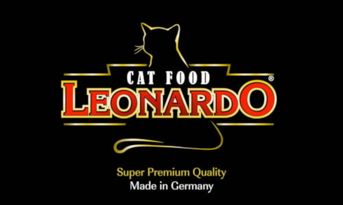 Leonardo Logo