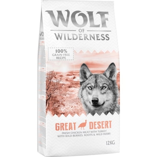 Wolf of Wilderness Great Desert